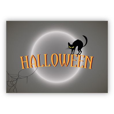 4x Tolle Vollmond Halloweenkarte mit schwarzer Katze: Halloween