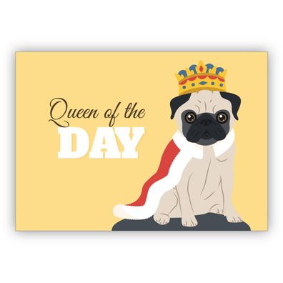 4x Lustige Geburtstagskarte mit Mops als König auch als motivierende Grußkarte für si