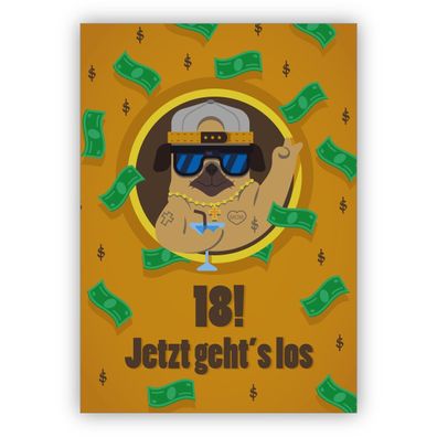 Komische Geburtstagskarte zum 18. Geburtstag mit coolem Mops im Dollar Regen: 18! Jet
