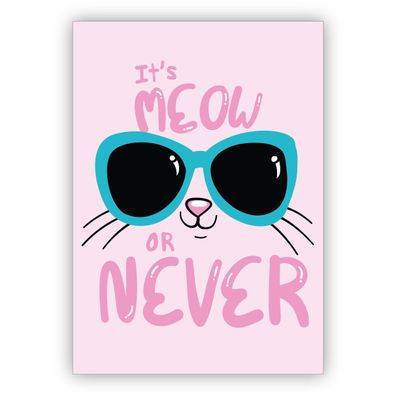 Lustige rosa Katzen Motto Grußkarte: It's meow or never