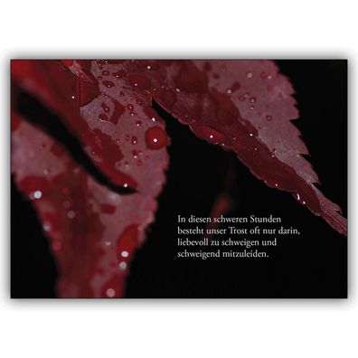 4x Moderne Trauerkarte mit rotem Laub: In diesen schweren Stunden besteht unser Trost