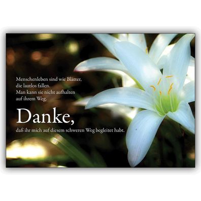 4x Klassische Trauer Dankeskarte mit Lilie: Menschenleben sind wie Blätter, die lautl