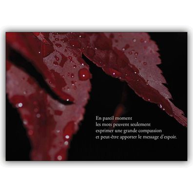 Französische Trauerkarte mit rotem Laub: En pareil moment les mots...