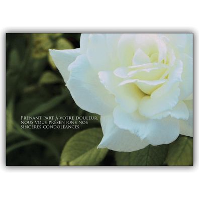 4x Französische Trauerkarte mit Rose: Prenant part à votre douleur...