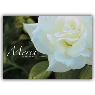4x Elegante Trauer Dankeskarte mit Rose: Merci pour votre soutien