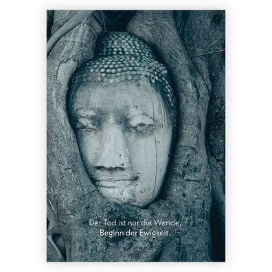 4x Achtsame Trauerkarte mit Buddha im Baum: Der Tod ist nur die Wende, Beginn der Ewi
