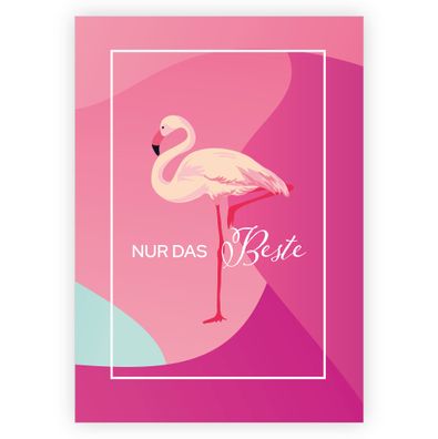 4x Liebevolle Tropen Geburtstagskarte mit Flamingo. Wünschen Sie nur das Beste