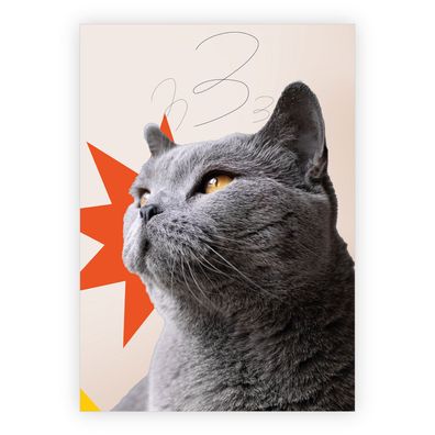 4x Stylische Katzen Grußkarte im Retro Collagen Stil - Designer Klappkarten Motiv