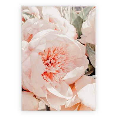Zarte rosa Pfingstrosen Blumen Grußkarte zum Geburtstag, Jubiläum, Abschied, Dankesch