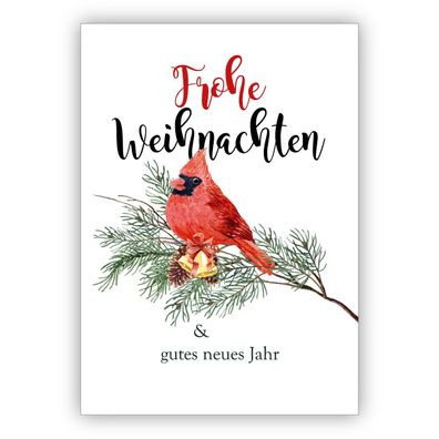 4x Edle klassische Weihnachtskarte mit rotem Vogel auf Kiefernzweig: Frohe Weihnachte