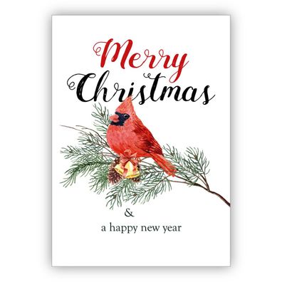 4x Edle klassische Weihnachtskarte mit rotem Vogel auf Kiefernzweig: Merry Christmas