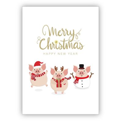 4x lustige Weihnachtskarte mit kleinen Schweinchen: Merry Christmas & happy new year
