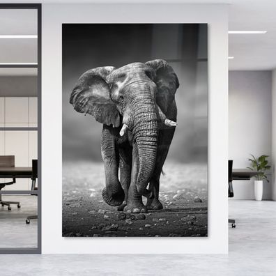 Wandbild Elefant tier Acrylglas Aluminium , Leinwand , Poster XXL