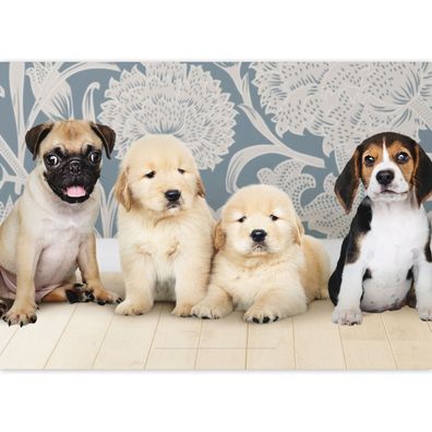 Süßer Tier DIN A3 Malblock Motiv: 4 Hunde Baby Puppies - Bq 11463
