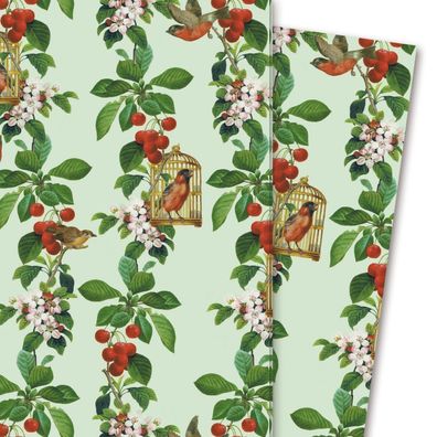 Wunderschönes Geschenkpapier Apfelkirsche mit Vögeln und Blüten, grün - G4237, 32 x 4