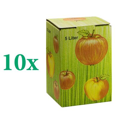 10 Stück Bag in Box Karton 5 L Liter Apfelsaft Schachtel Saftkarton Faltkarton