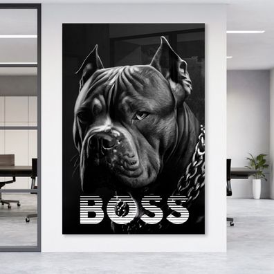 Wandbild Boss Mode Tier Hunde bulldogge Leinwand , Acrylglas + Aluminium , Poster