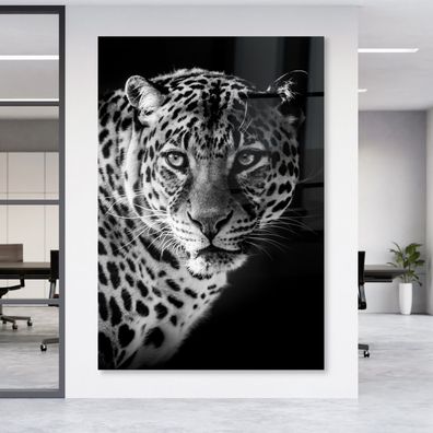 Wandbild Kunst Tier Leopard Leinwand , Poster , Acrylglas + Aluminium