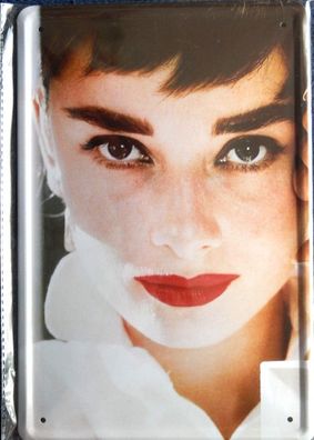 Top-Blechschild, 20 x 30 cm, Audrey Hepburn, Film, Kino, Neu, OVP -2-
