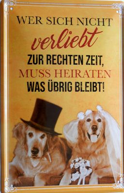 Top-Blechschild, 20 x 30 cm, verliebt, Hunde, Heiraten, FUN, Neu, OVP