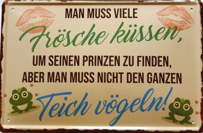 Top-Blechschild, 20 x 30 cm, Frösche küssen, Prinz, Teich vögeln, FUN, Neu, OVP