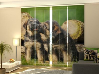 Foto-Schiebegardine Deutscher Schäferhund, Flächenvorhang mit Motiv, Gardine auf Maß