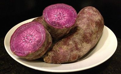 SAMEN - Lila Yamswurzel - Dioscorea alata - Purple yam Ube 5+ Samen Seeds R 158