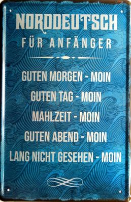 Top-Blechschild, 20 x 30 cm, Norddeutsch für Anfänger, MOIN, Fun, Neu, OVP