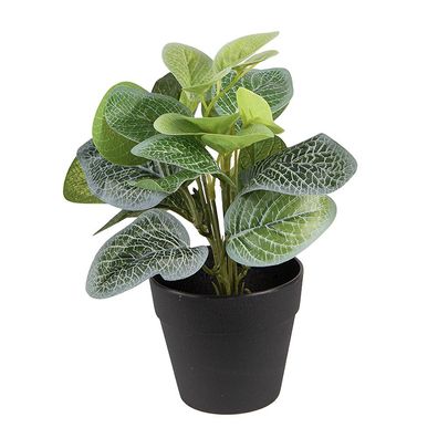Clayre & Eef Kunstpflanze 22 cm Grün Kunststoff (Gr. 20x20x22 cm)