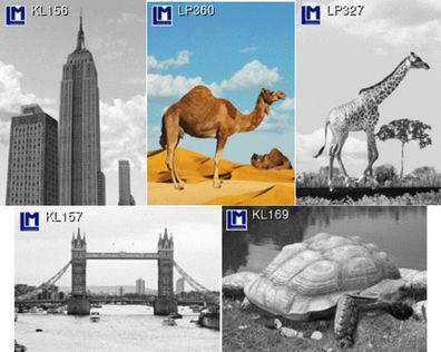 3 D Ansichtskarte Gebäude - Tiere Postkarte Wackelkarte Hologrammkarte Bilder Turm