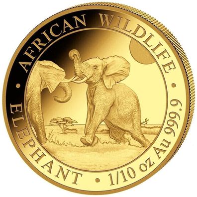Goldmünze 1/10 oz Somalia Elefant 2024 100 Shilling 999.9 Gold