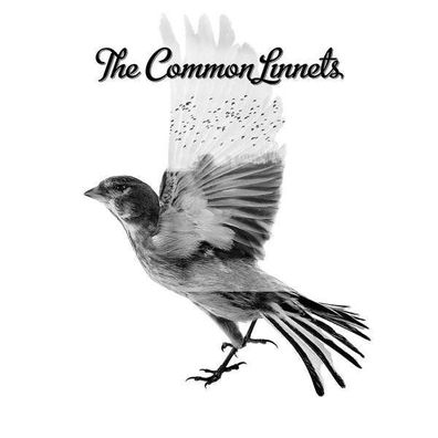 The Common Linnets - Universal 3780095 - (CD / T)