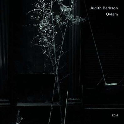 Judith Berkson: OYLAM - - (Jazz / CD)
