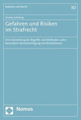 Gefahren und Risiken im Strafrecht: Eine Darstellung der Begriffe und Metho ...