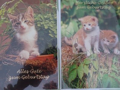 2 alte Grußkarten Zum Geburtstag Katzen "Fotos" Sü-Verlag
