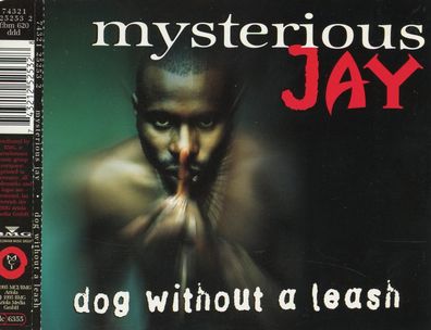 Maxi CD Mysterious Jay / Dog without a Leash