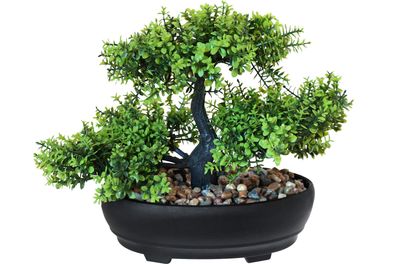 Kunstpflanze Bonsai Buchsbaum 26 x 20 cm im Topf mit Echtsteindeko