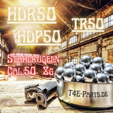 50x Stahlkugeln Munition HDR50 & HDP50 & TR50 T4E Cal. 50 Industrie Qualität