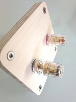 audio-IN "cONNECT-s" / HighEnd Single-Wire-Terminal / Multiplex-Holz