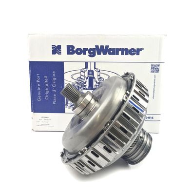 BorgWarner 202155 Kupplungssatz für S-Tronic Getriebe DL501 VW Audi Porsche