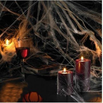 Spinnennetz Deko Halloween Party Netz Spinne Fest Geister Gr.u. Farbe wählbar