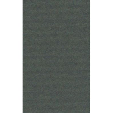 Geschenkpapier Clairefontaine 95755C, Breite: 70cm, Länge: 3m, grün
