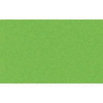Buntkarton Bähr 1109652, 300g, 50x70cm, tropicgrün, 20 Stück