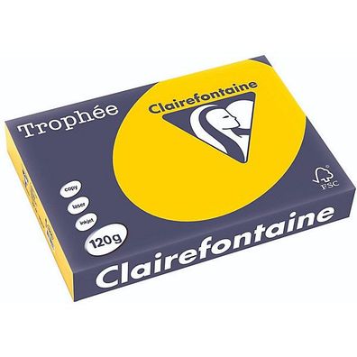 Clairefontaine Kopierp. Color Trophee Pastell goldgelb A4 120g 250 Blatt