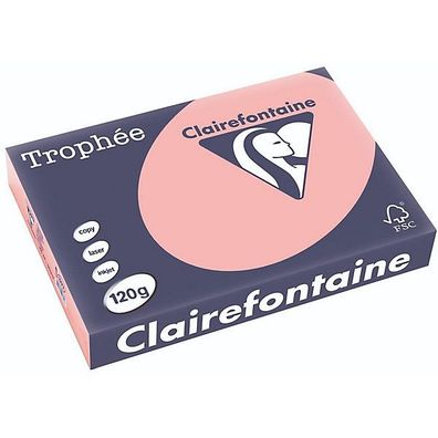 Clairefontaine Kopierp. Color Trophee A4 120g pastell Heckenrose 250 Blatt