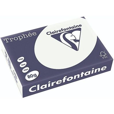 Clairefontaine Kopierpapier Trophee Pastell lindgrün A4 80g 500 Blatt