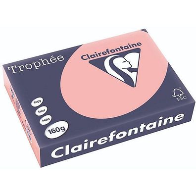 Clairefontaine Kopierpapier Trophee Pastell A4 160g heckenrose 250 Blatt