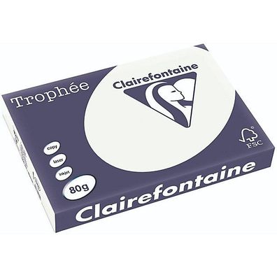 Clairefontaine Kopierpapier Trophee Pastell lindgrün A3 80g 500 Blatt