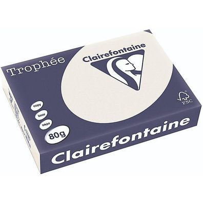 Clairefontaine Kopierpapier Trophee Pastell grau A4 80g 500 Blatt