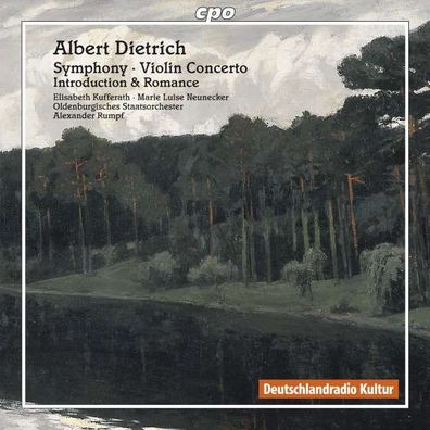 Symphonie d-moll op.20 - CPO 0761203731428 - (CD / Titel: A-G)